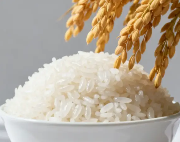 做五常大米批发要重点关注的方面！长期合作客户，价格是否稳定，旺季随意调价吗？