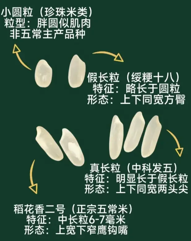 买五常大米必看！避开勾兑米套路，教你买到真正的原产地好米