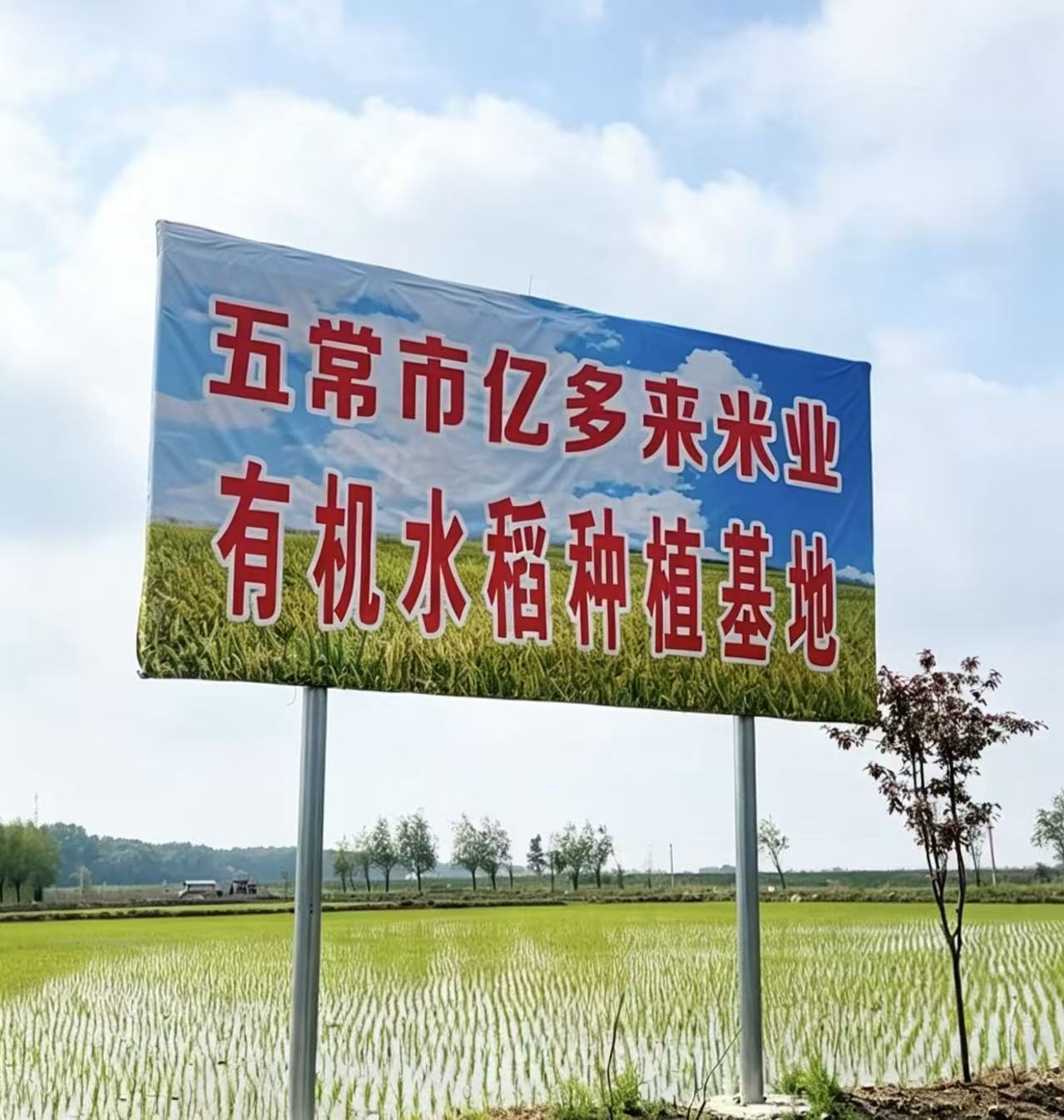 同质化竞争太严重，经销商如何脱颖而出？